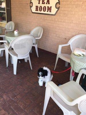 Outdoor seating and pet friendly