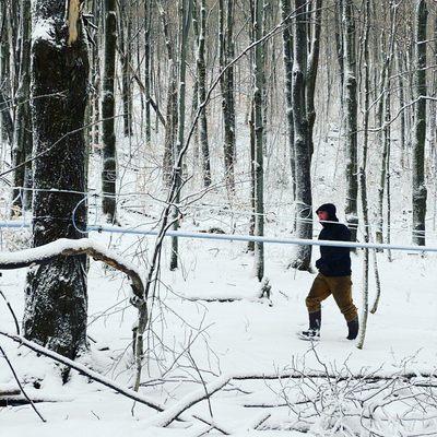 Woods work continues all year long in a Vermont sugarbush.