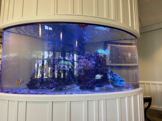 Big salt water Fish tank-- the staple decor of any great dentist!