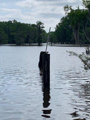 Just a gorgeous lake!