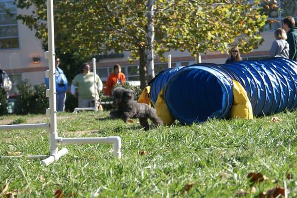 We have Agility Training!