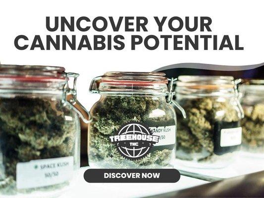 8_TreeHouse THC Cafe_Uncover Your Cannabis Potential.jpg