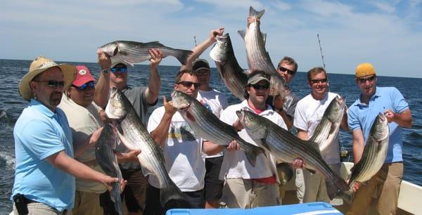 Spring trophy rockfish season! We start fishing mid  April and continue thru winter as we follow the Rockfishnto Virginia Beach.