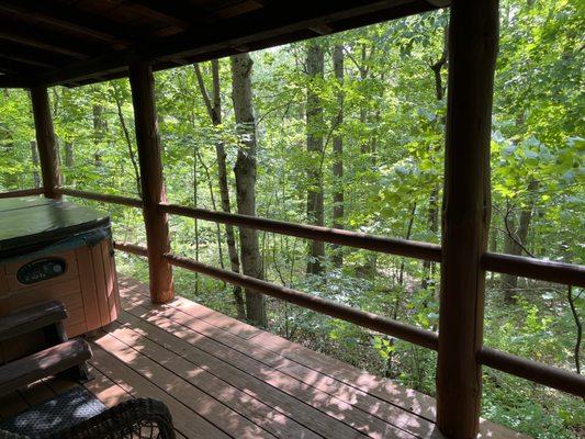 Tot tub view into the beautiful forest (woodpeckers and fireflies!)