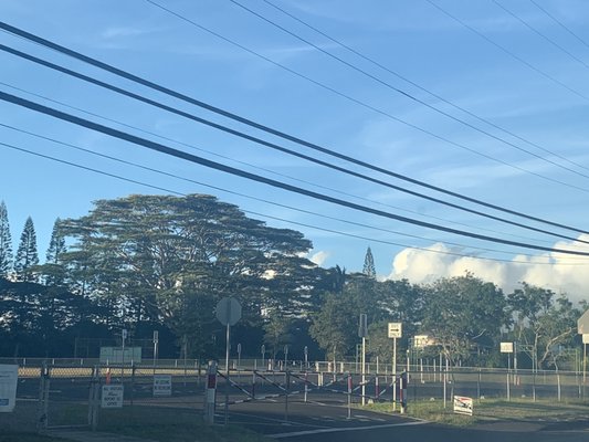 Wahiawa Elementary School