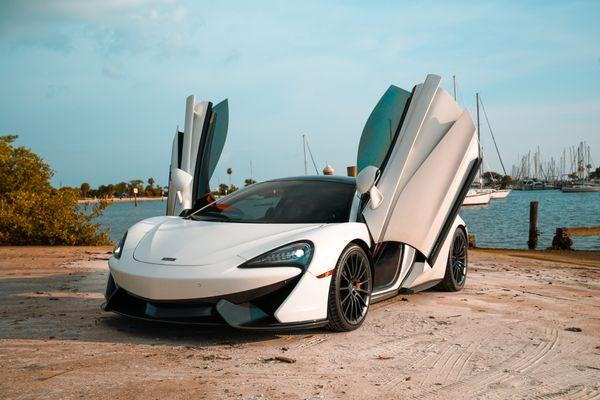 Elite Exotics Tampa