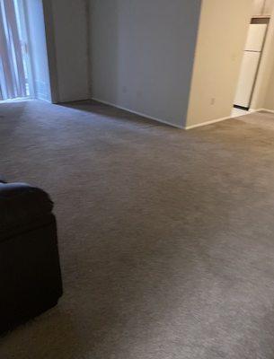 Residential cleaning after move out