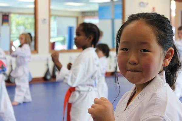 Taekwondo Class