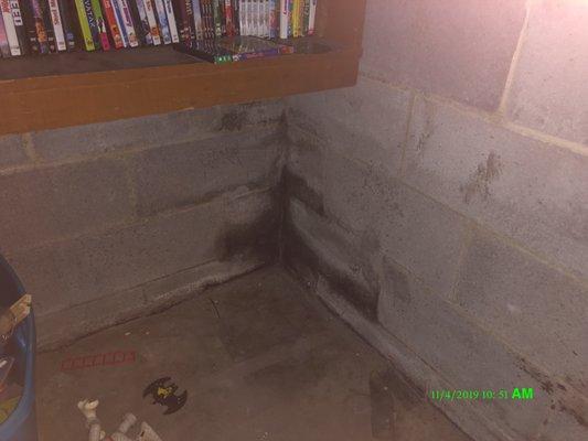 Mold and Water Damage in Basement