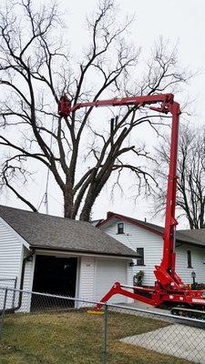 Bucket Truck Tree Service