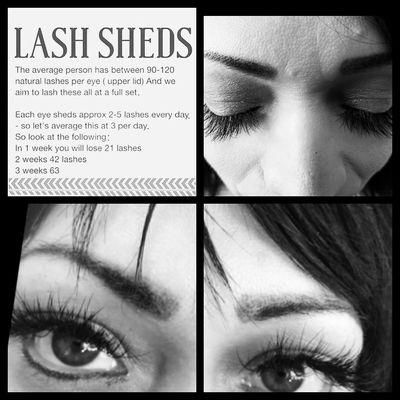 Dramatic look! Individual eyelash extensions. #iBlinkEyelashandHairStudio