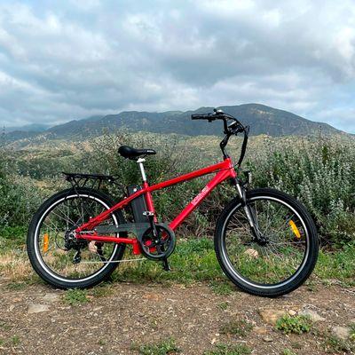 Dogleg XR Electric Bike. A great all around commuter.