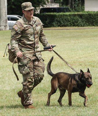 The business owner and their old Military Working Dog, Remso.