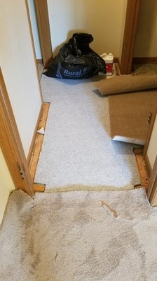 Taking up the old carpet