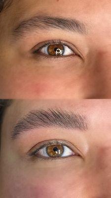 NANOBROWS