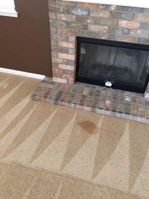 Stain left after carpet cleaners came. There was no stain there before they cleaned.