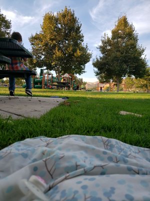 The park