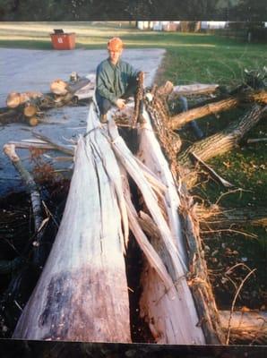 Lighting struck tree