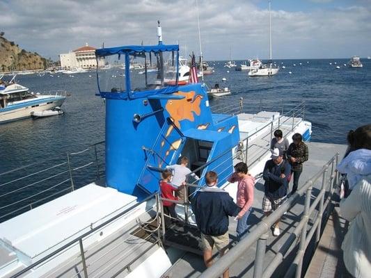 Undersea Discovery Tour!