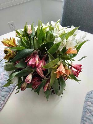 WHAT I RECEIVED! Perfect Peruvian Lilies Deluxe ($71.95)