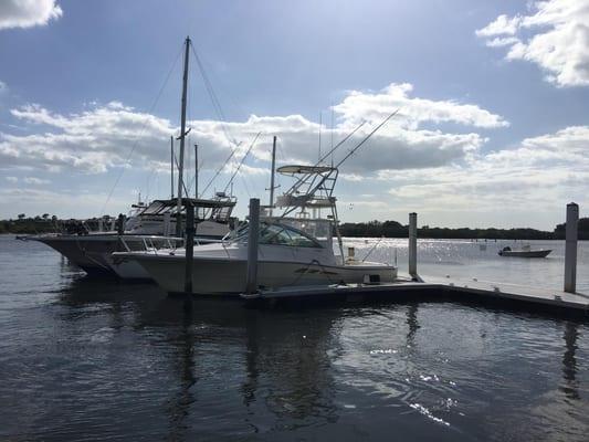 Anclote Isles Marina