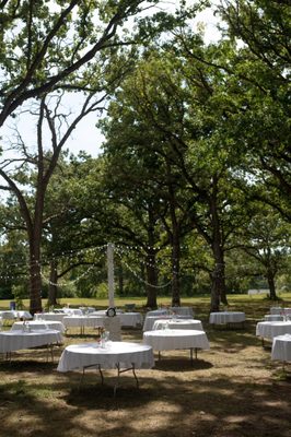 We opted for half way table cloths which were more cost effective and, with chairs, guests couldnt even tell!