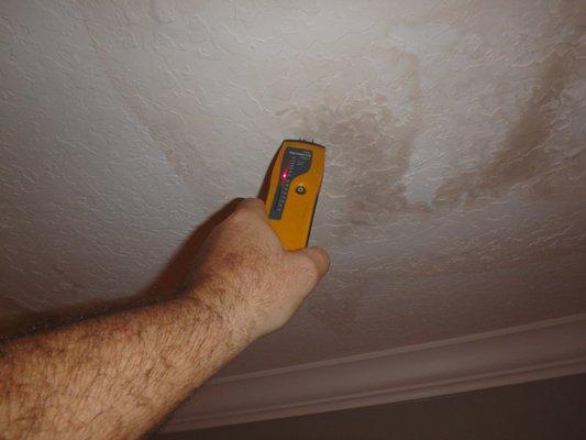 We do mold inspections