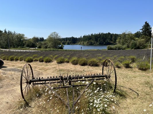 At the farm.