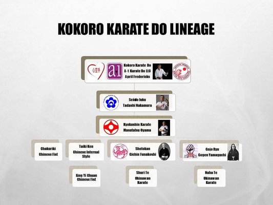 A-1 Karate Do