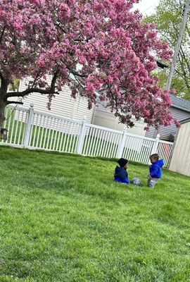 Backyard play!