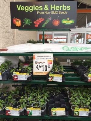 Great price for veggies and herb seedlings for the garden!