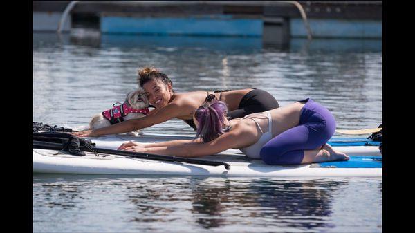 Dog Friendly they have SUP boards designed to bring your dog with you while you do yoga! warning you may be kisses a lot during class!