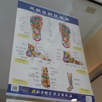 Reflexology chart