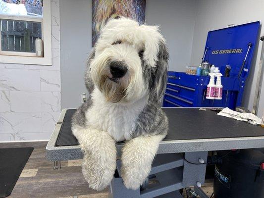 Say hi to "Snoopy" our shop dog!