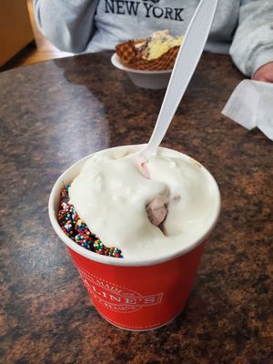 The liquid "whipped" cream ruined it for me. The ice cream was average.