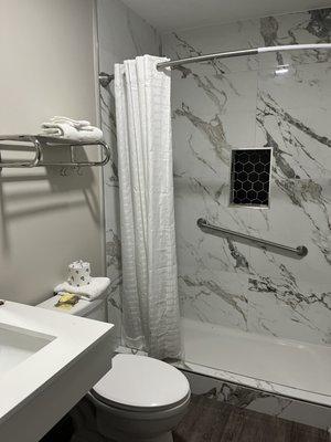 Handicapped accessible shower