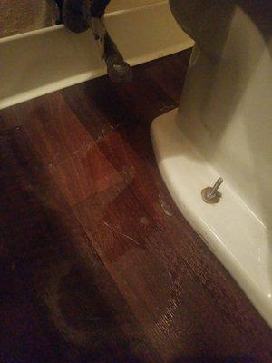 Toilet leaks