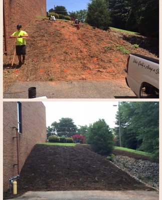 Before and after mulch installation