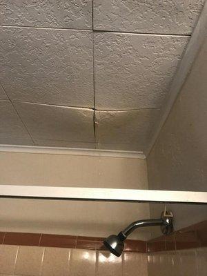 The event that eventually caused the one ft by one ft hole in my ceiling... Water leaking from upstairs showers from negligence.