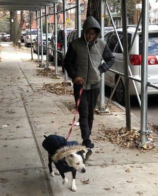 This is one of our weekend walkers with Bella