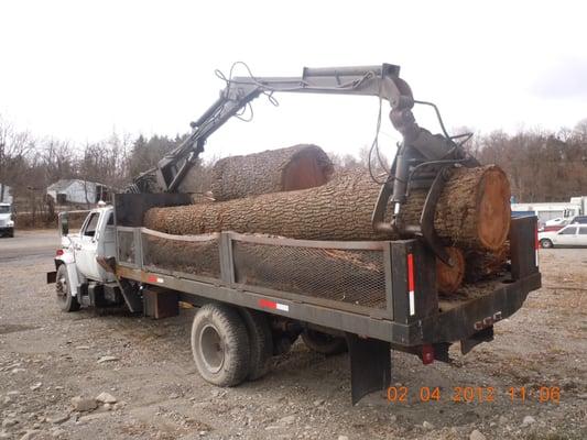 No job too big or small we can handle them all. Any tree anywhere in any kind of weather.