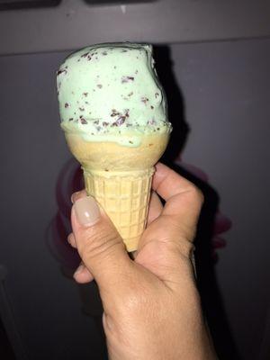 Mint chocolate chip