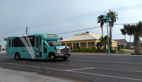 Rain or shine, they keep going from 7 a.m. to 9 p.m.  Here's a light blue one. This is the most recent Island Metro livery and logo.