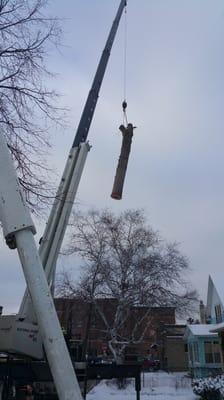 Crane assisted tree removal