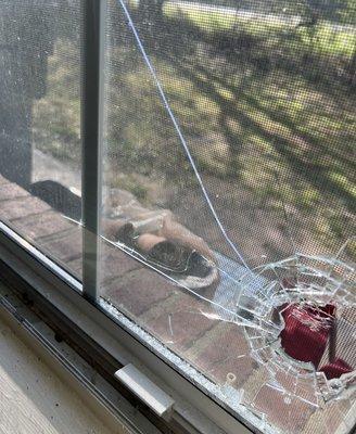 Chunks of wood break the glass and came flying into my kitchen. Thank GOD my child was sitting at the table! No apology. No urgency to fix