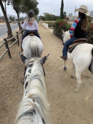 Weekend trail ride with other boarders and owner