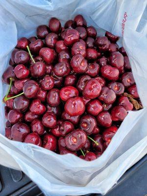 Coral cherries