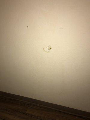 Holes in wall