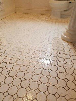 Tile&Grout Cleaning