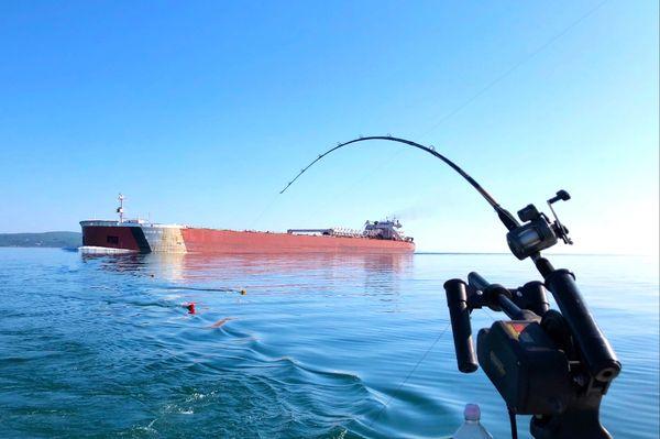 seeing the boats come in up close..